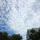 이디야 운양점 | 운양역 근처 새로 생긴 신상 카페 밀몽