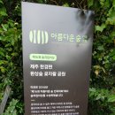 2019.10.8. 제주15일살기,환상숲곶자왈~저지오름~오설록~ 월령선인장마을. 이미지