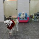 하단동024 이미지