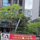 꽃뱀..(Re) 이미지