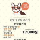 일광해빛동물병원 이미지