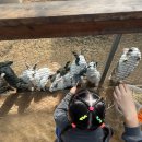 나눔염소농장 이미지