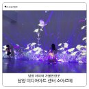 담양 아이랑 미디어아트 소아르떼 다녀온 후기 무한한 상상의 세계로