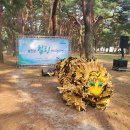 제8회 하동섬진강문화재첩축제 이미지