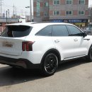 첨단썬팅
