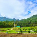 매월당민박 이미지