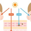 오웰안경 이미지