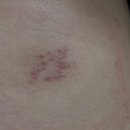 서산튼튼마취통증의학과의원 이미지