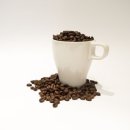 직업상담사 2급 필기 (4과목 - 노동시장론) 이미지