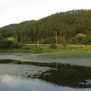사곡지 Daum카페