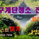 에코시스템 미가