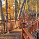 선학산전망대 이미지