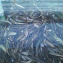 할머니 추어탕 이미지