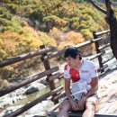 용하약국 이미지