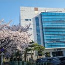 현대로1029번길 이미지