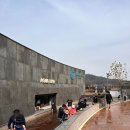 (주)파라다이스 도고지점 수영장 | 쌀쌀해진 겨울 주말 파라다이스 스파 도고 방문 후기, 추천 준비물