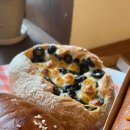 [광진구] 군자역 베이커리 맛집 윤숲과자점 솔직리뷰 | 소금빵부터 야끼소바빵까지 다 털어본 후기