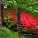 팔마_정구장 이미지