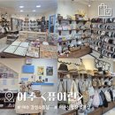 덕정짱인형샵 | 여수 이순신광장 감성 소품샵 추천 #2 "퓨어린" | 내돈내산 솔직후기 | 가격 위치 정보