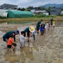 곡성유치원 이미지