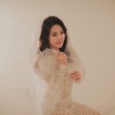 한세아 카카오 검색결과
