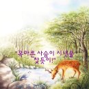 "목마른 사슴이 시냇물 찾듯이!"("Like a thirsty deer looking for a stream!") 이미지