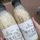 평화의막걸리 | DMZ 평화의길 강화 코스 당일치기 완전 후기