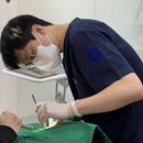 세종스타치과의원 이미지