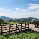 부강7리마을회관 이미지