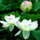 바람과 구름 이미지