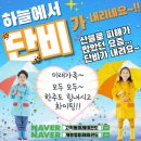 단비태권도장 이미지