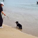 김동훈한의원 이미지