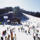 뉴부산관광