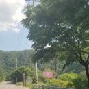 알프스밸리캠핑나라 이미지