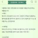 천연퀸즈헤나