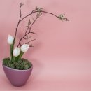 스텔라여성의원 이미지