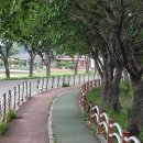 중담1주차장 이미지