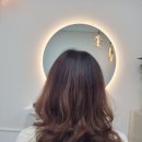 바비헤어 이미지