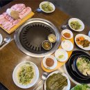서해쭈꾸미 이미지