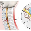 참온한의원 이미지