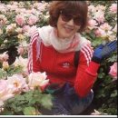 사구축산 이미지