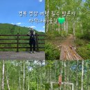 목계숲 1 | [경북 영양 여행] 자작나무숲길 추천(무료 전기버스, 운행 시간, 산책 코스)