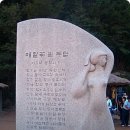 평창봉평메밀 이미지