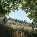 SHAZAM FURY OF THE GODS | [🎵] 곧 따라갈게 / The Old Therebefore - Rachel Zegler (헝거게임: 노래하는 새와 뱀의 발라드 ost...