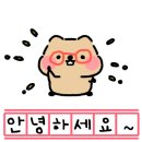 안양김준동물병원 이미지
