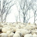 경강로111 이미지