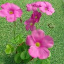 잘커농장 이미지