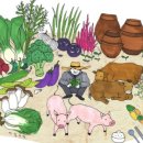 호상농장 이미지