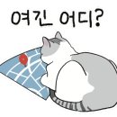 드론가야