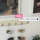 글라스데이